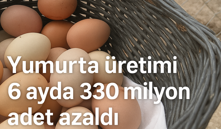 Yumurta üretimi 6 ayda 330 milyon adet azaldı