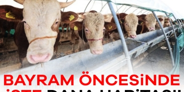904079-kurban-bayrami-oncesinde-dana-haritasi-68401a355a94d (1)
