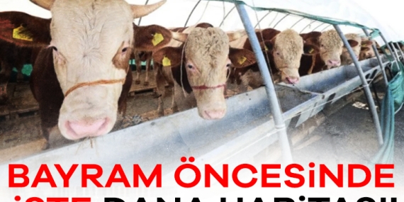 Kurban Bayramı öncesinde dana haritası!