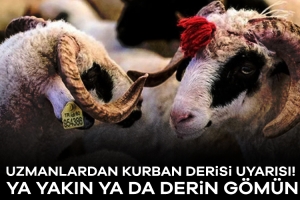 904268-uzmanlardan-kurban-derisi-uyarisi-ya-yakin-ya-da-derin-gomun-6841827cb58e7