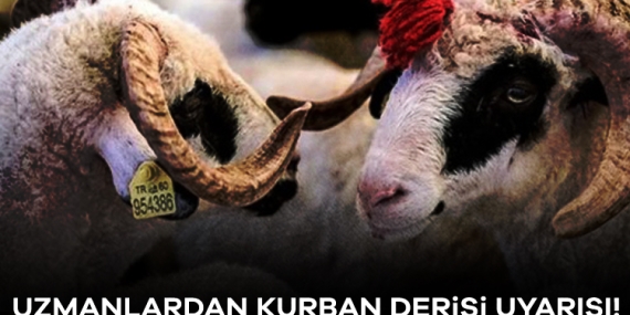 Uzmanlardan kurban derisi uyarısı! Ya yakın ya da derin gömün