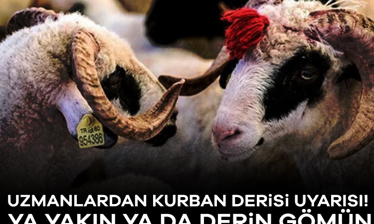 Uzmanlardan kurban derisi uyarısı! Ya yakın ya da derin gömün