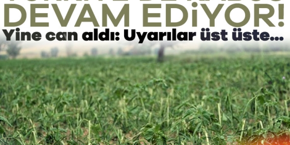 Türkiye’de kabus devam ediyor! Yine can aldı: Uyarılar üst üste…