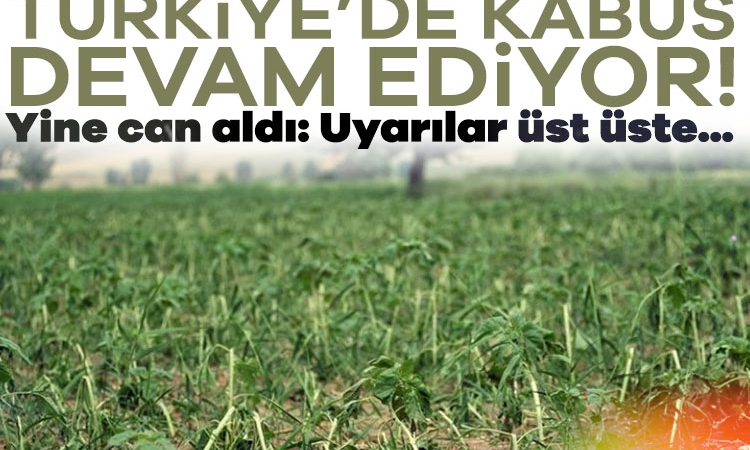 Türkiye’de kabus devam ediyor! Yine can aldı: Uyarılar üst üste…
