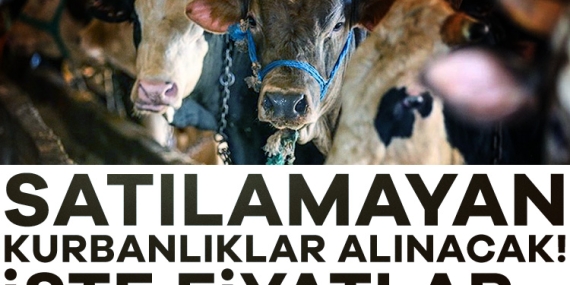 Satılamayan kurbanlar alınacak! İşte fiyatlar…