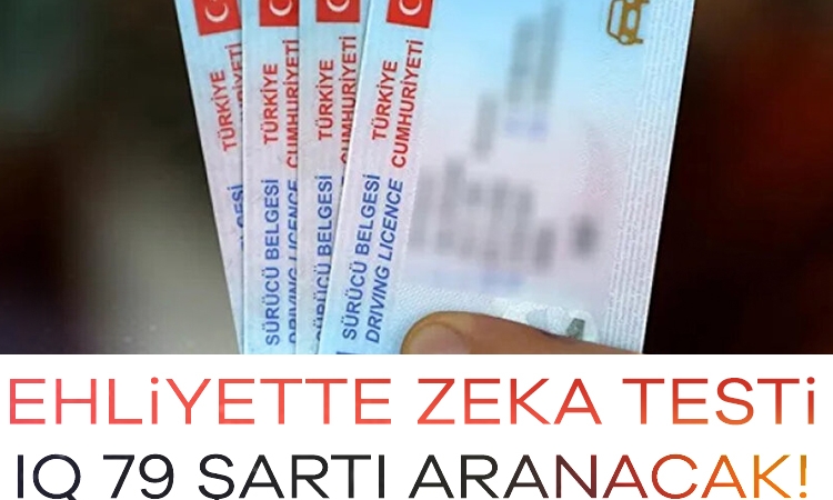​Ehliyette zeka testi: IQ 79 şartı aranacak!
