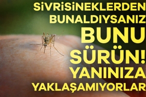905311-bunu-surenlere-sivrisinek-yaklasamiyor-684bd494dac3a