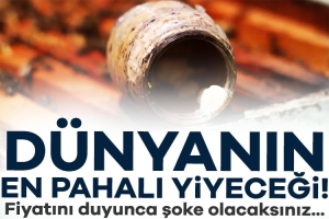 906866-dunyanin-en-pahali-yiyecegi-fiyatini-duyunca-soke-olacaksiniz-6859112521424