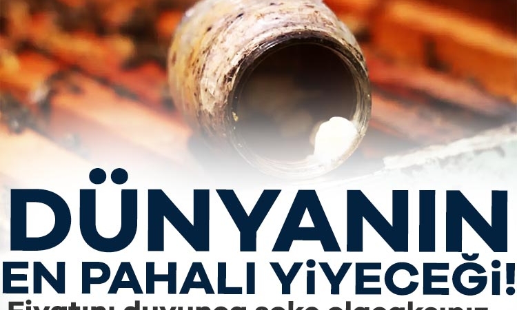 Dünyanın en pahalı yiyeceği! Fiyatını duyunca şoke olacaksınız