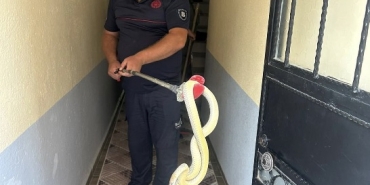 Ekran Resmi 2025-06-18 17.11.24