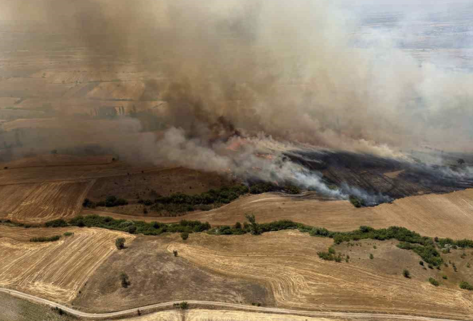 Balıkesir Kepsut’ta arazi yangını