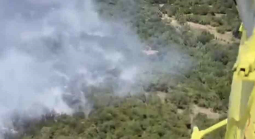 Balıkesir’de orman yangını