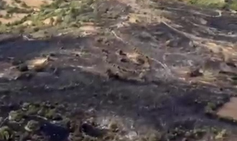 Balıkesir’de orman yangını kontrol altına alındı