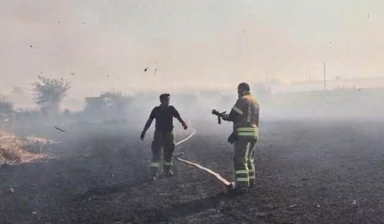 Susurluk’ta ekili arazi yangınına müdahale edildi