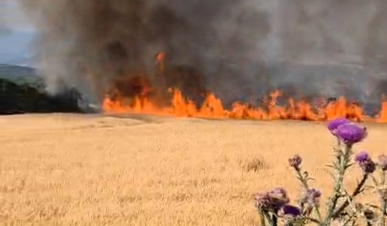 Susurluk-Bandırma Karayolunda Tarla Yangını