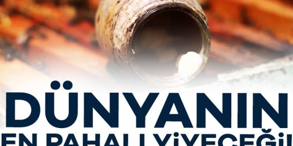 Dünyanın en pahalı yiyeceği! Fiyatını duyunca şoke olacaksınız