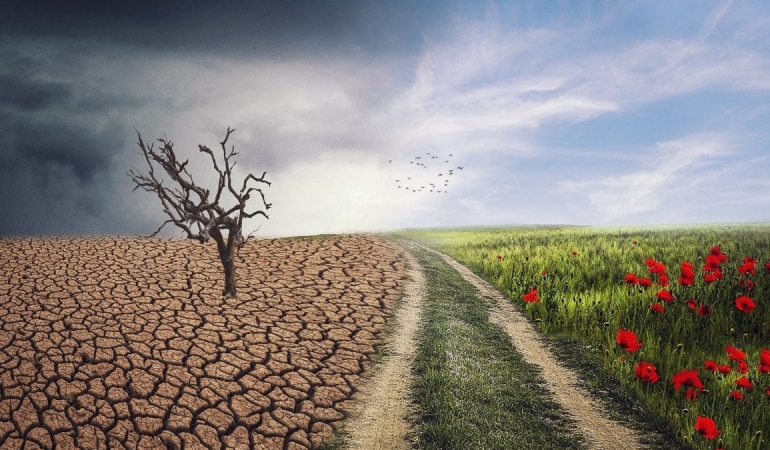 14 soruda İklim Kanunu nedir? Bakanlık yanıtladı