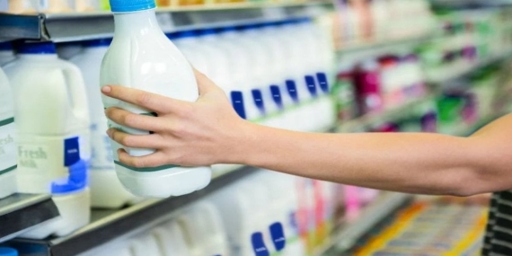 Dört büyük süt şirketine 58,3 milyon TL ceza