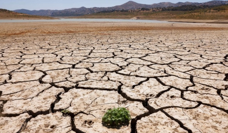 Türkiye’nin yüzde 88’i çölleşme tehdidi altında