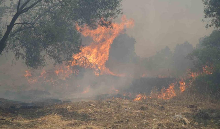 Türkiye Genelinde Orman Yangınlarıyla Mücadele Sürüyor