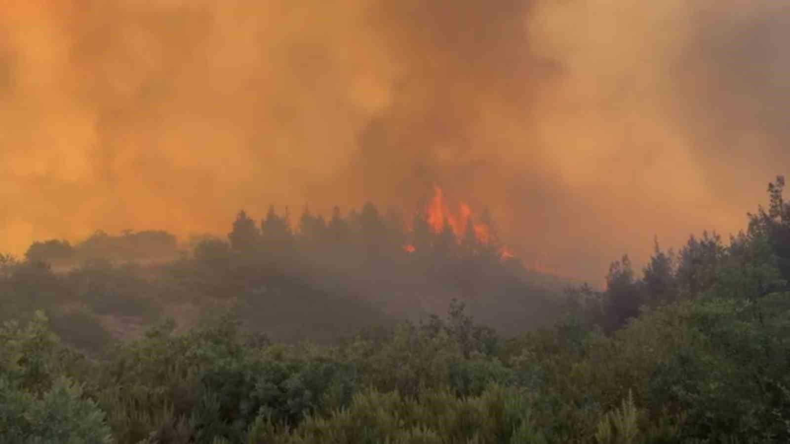 BALIKESİR'DE ORMAN YANGINI