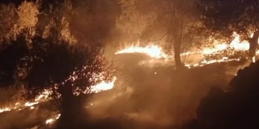 BALIKESİR'DE ZEYTİNLİK ALANDA ÇIKAN YANGINA EKİPLER MÜDAHALE EDİYOR