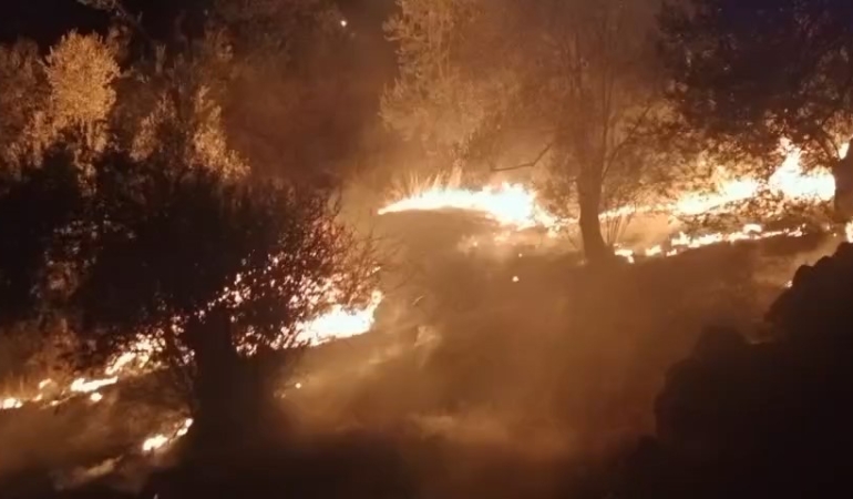 Balıkesir’de zeytinlik alanda çıkan yangına ekipler müdahale ediyor