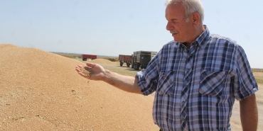 MANYAS’TA HUBUBAT VERİMİ ÜRETİCİNİN YÜZÜNÜ GÜLDÜRDÜ