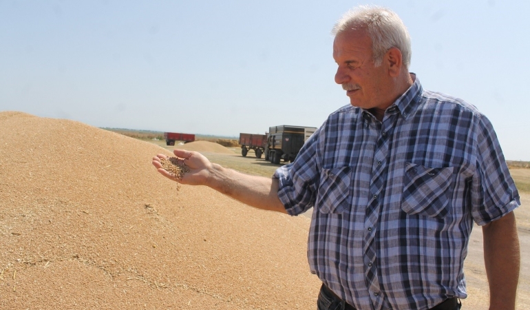 Manyas’ta Hububat Verimi Üreticinin Yüzünü Güldürdü
