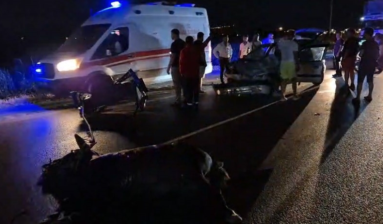 Balıkesir’de otomobil ters yönde gelen at arabasına çarptı: 2 yaralı