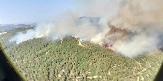 Altıeylül’de orman yangını