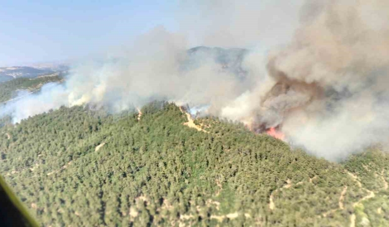Altıeylül’de orman yangını