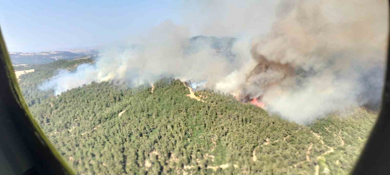 ALTIEYLÜL'DE ORMAN YANGINI