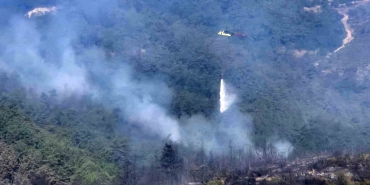 BALIKESİR'DEKİ ORMAN YANGININA HAVADAN MÜDAHALE TEKRAR BAŞLADI