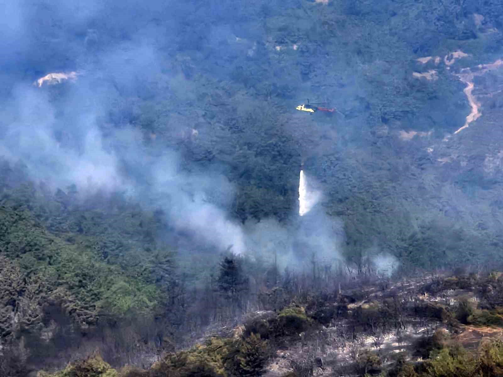 BALIKESİR'DEKİ ORMAN YANGININA HAVADAN MÜDAHALE TEKRAR BAŞLADI