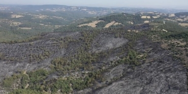 ALTIEYLÜL'DEKİ YANGIN HAVADAN GÖRÜNTÜLENDİ