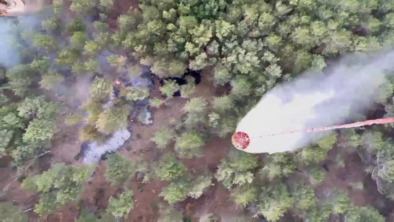 KAZDAĞLARI'NDA ÇIKAN ORMAN YANGINI KISA SÜREDE KONTROL ALTINA ALINDI