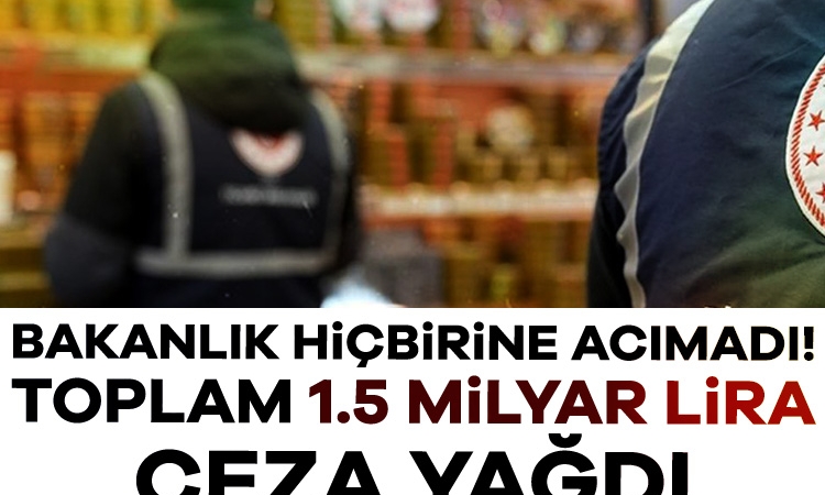 Bakanlık hiçbirine acımadı! Toplam 1.5 milyar lira, ceza yağdı