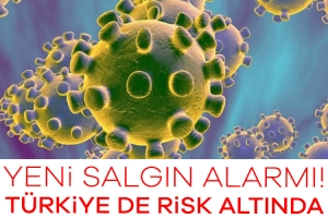 911548-yeni-salgin-alarmi-turkiye-de-risk-altinda-6881d3310436d (1)