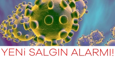 911548-yeni-salgin-alarmi-turkiye-de-risk-altinda-6881d3310436d (1)