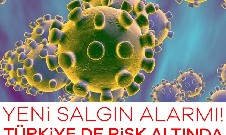 Yeni salgın alarmı! Türkiye de risk altında