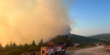 BALIKESİR'DE ORMAN YANGINI