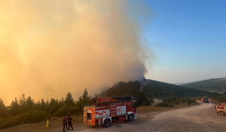 Balıkesir’deki orman yangını kontrol altına alındı