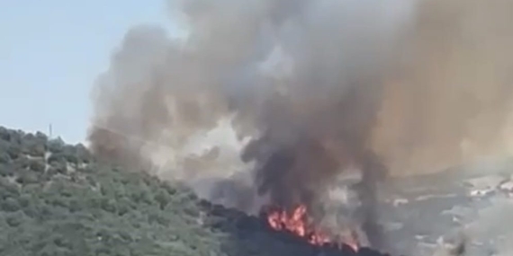 Balıkesir’de orman yangını