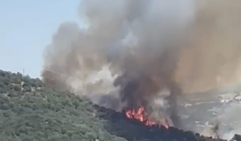 Balıkesir’de orman yangını