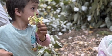 Ekran Resmi 2025-06-30 16.46.42