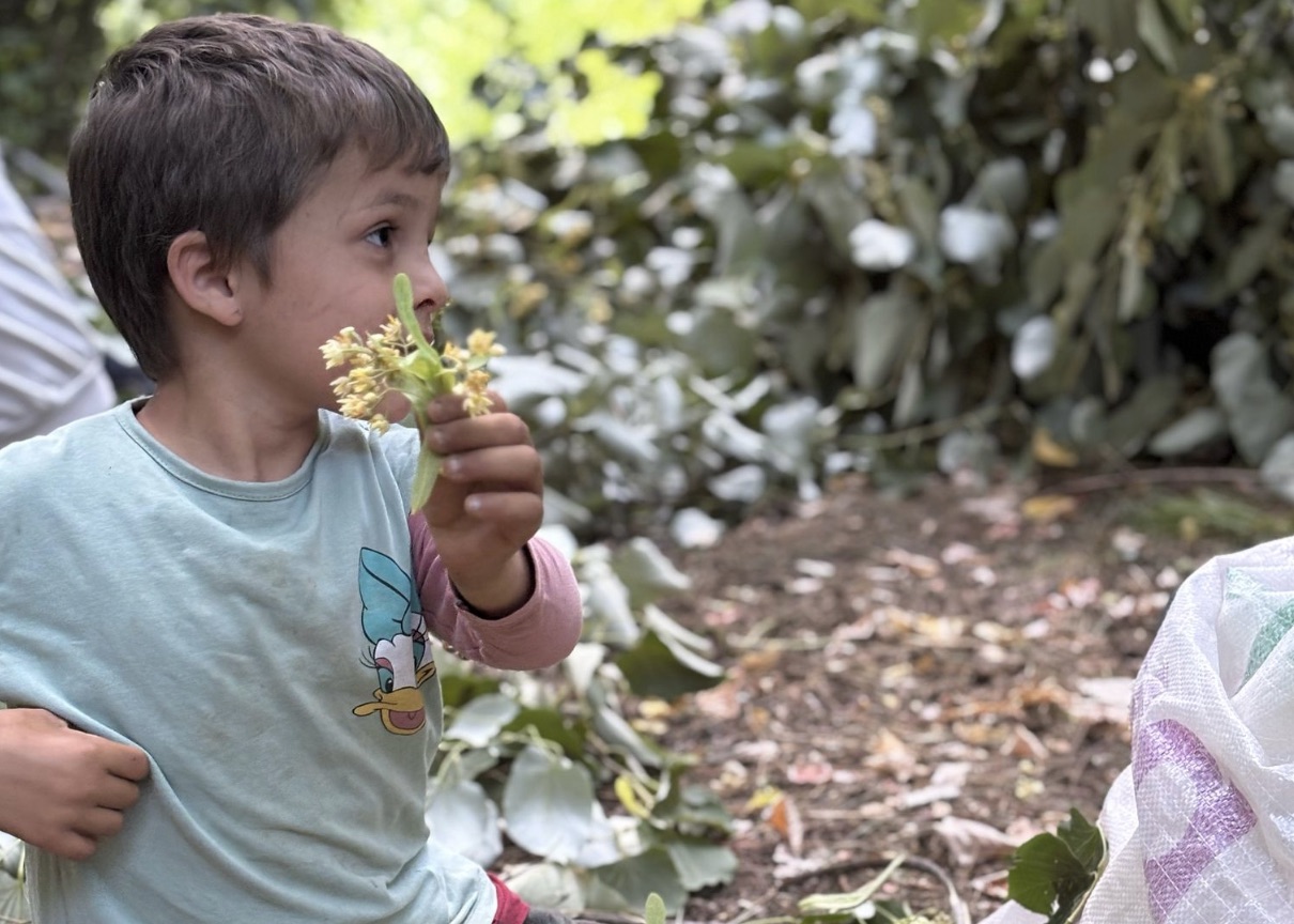 Ekran Resmi 2025-06-30 16.46.42