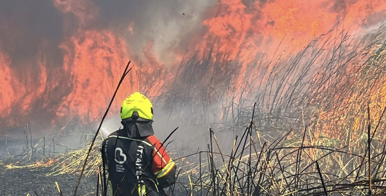 Balıkesir İtfaiyesi bölgedeki yangınları söndürmek için seferber oldu