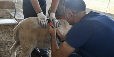 Ekran Resmi 2025-07-17 14.10.08