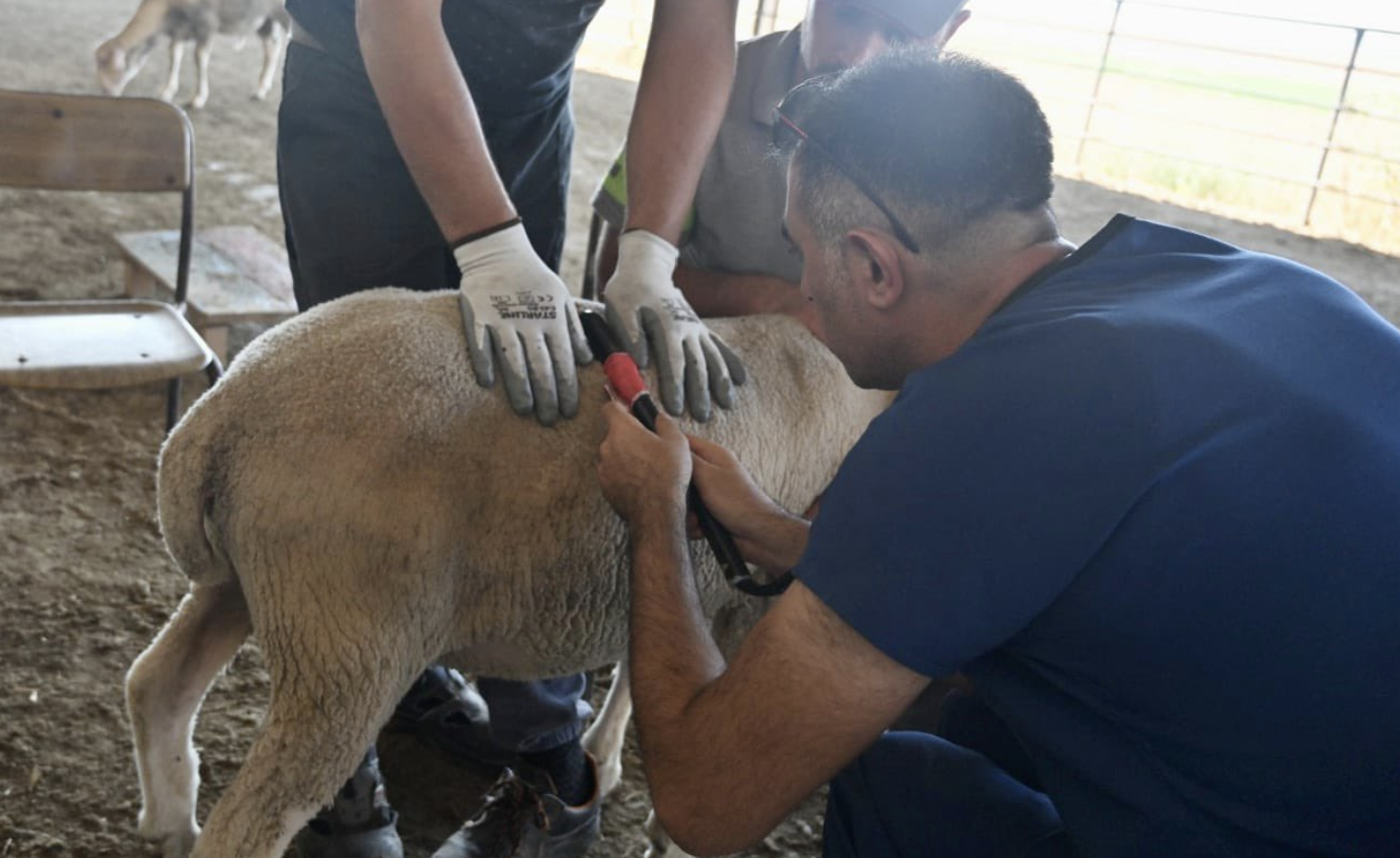 Ekran Resmi 2025-07-17 14.10.08